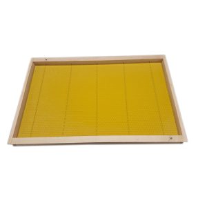 Resized_20240604_104514_1718011091053-Edit